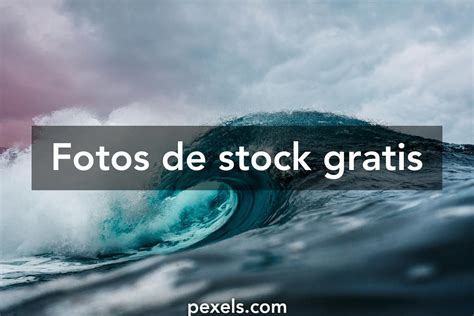 todo imagenes|Fotos de stock gratis, imágenes libres de regalías y sin  .